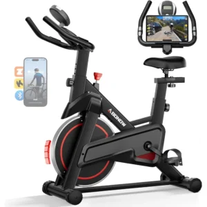 Low Noise Stationary Bikes for Home Gym